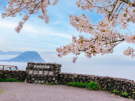 鏡山の桜　※イメージ