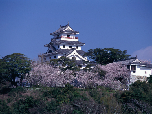 唐津城の桜　※イメージ