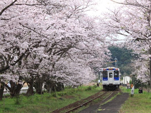 浦の崎「桜の駅」　※イメージ
