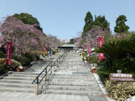 白野江植物公園　※イメージ